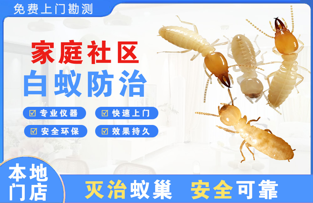 安庆家庭社区白蚁防治