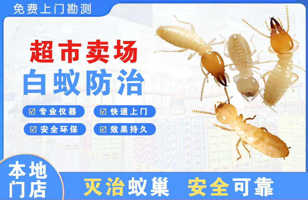 安庆超市卖场白蚁防治