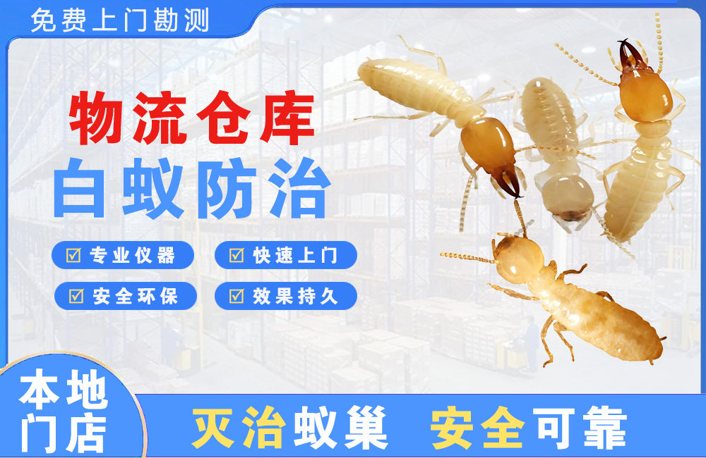 安庆物流仓库白蚁防治