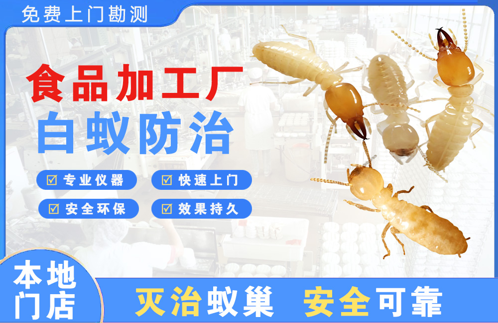安庆食品加工厂白蚁防治