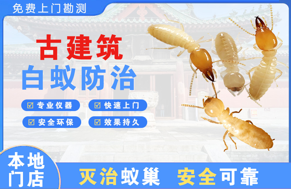 安庆古建筑白蚁防治