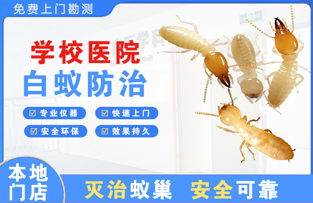 安庆学校医院白蚁防治