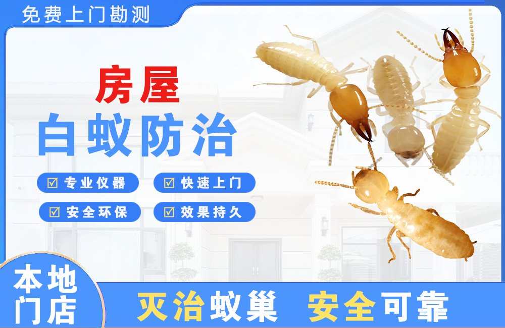 安庆房屋白蚁防治