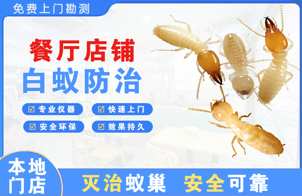 安庆餐厅店铺白蚁防治
